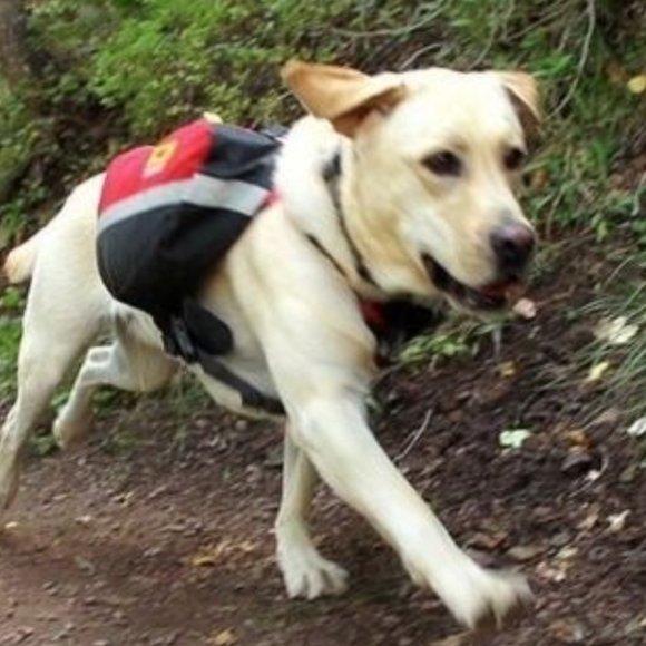 MOUNTAINSMITH K-9 DOG PACK ADJUSTIBLE BACK AND CHEST HARNESSES ERGONOMIC - Picture 5 of 5